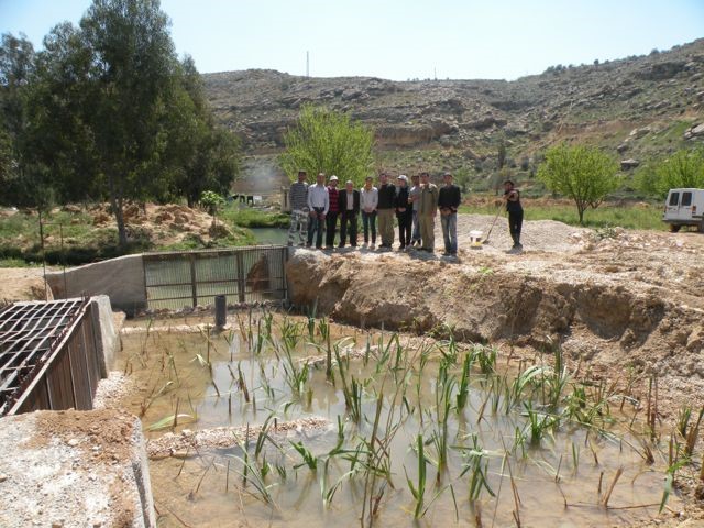 Creation of phytodepuration ponds in Assi river