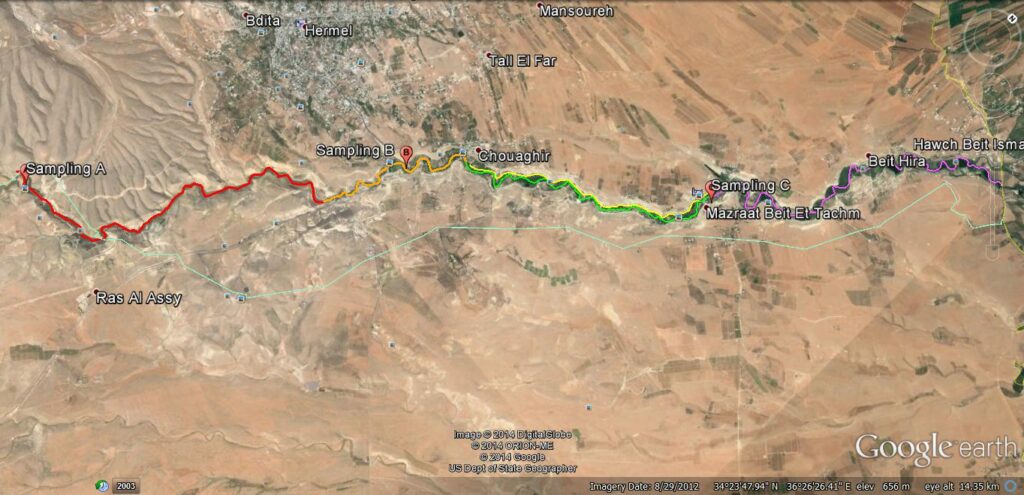 developing the GIS maps of the Assi river in cooperation with the CNRS (National Council for Scientific Research in Lebanon)